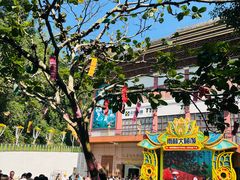 -西双版纳原始森林公园