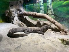 -上海大自然野生昆虫馆