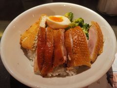 金奖卤鹅肉饭-陈鹏鹏潮汕菜(宝安机场T3航站楼店)