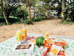 -上海共青森林公园