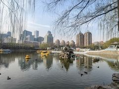 -团结湖公园