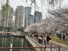 -西北湖绿化广场