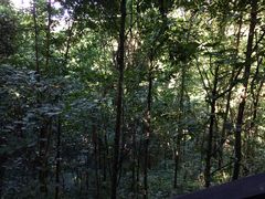 -井冈山革命烈士陵园