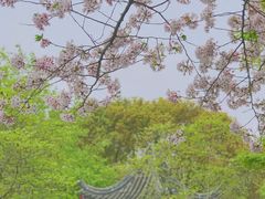 -盘门景区