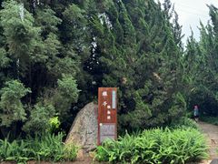 -昆明植物园