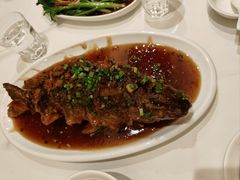 老济南糖醋鲤鱼-金春禧(世茂国际广场店)