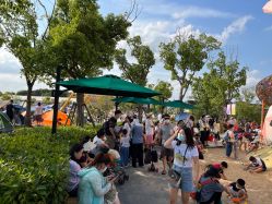 -季高兔窝窝亲子园(上海薰衣草公园店)