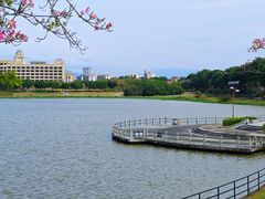 -风云岭森林公园