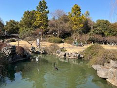-盘门景区