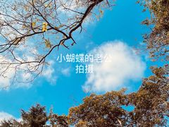 -八大关景区