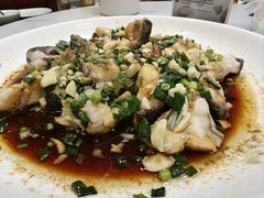 -全乐鱼馆·淳牌有机鱼直营店