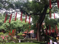 景点-杭州上天竺法喜讲寺
