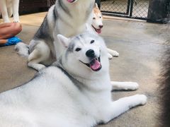 -TrueLove @ Neverland (Husky Cafe)