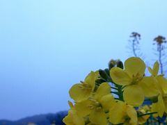 android_upload_pic-广州市石门国家森林公园