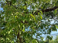 -敬亭山风景名胜区