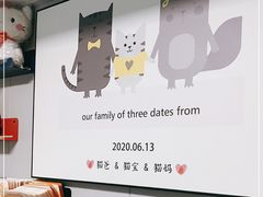 -半岛宠物医院24小时(科华中路店)