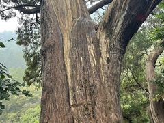 -北京上方山国家森林公园