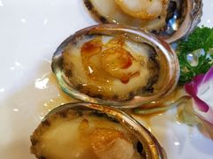 -红叶日料·放题·海胆·定食(星海店)