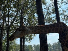 -大连森林动物园