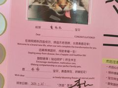 -艾贝尔宠物医院·24H转诊中心·肿瘤猫专科(江宁双龙店)