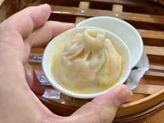 -莱莱小笼·乔艾