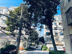 -高桥小香松糕