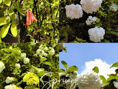 -凤凰御元艺术基地