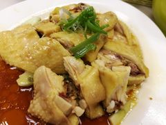 走地马来鸡-1977 New Ipoh Chicken Rice 新怡保鸡饭店(陀螺街)