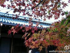 -常寂光寺