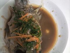 -爱贝尔高端月嫂(母婴护理)