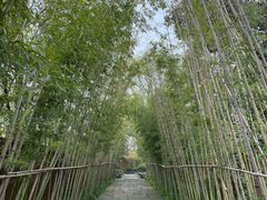 -新荣记(西溪湿地店)