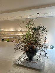 -SALON DE VANHADA