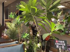 -云海肴·汽锅鸡·云南菜(领展购物广场·中关村店)