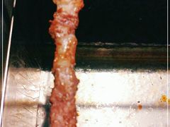 -很久以前羊肉串(清河店)
