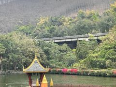 -西双版纳原始森林公园