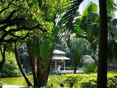 -黄埔荔枝公园