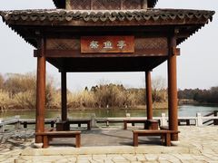 -苏州太湖国家湿地公园