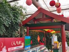 -春满园生态餐厅(南宫路店)