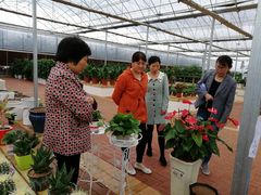 -龙湖东院农庄(乡间小路店)