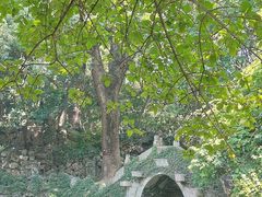 -绮园景区