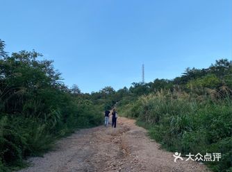 八分山真是个宝藏地方 超美的日落 还可以看武汉夜