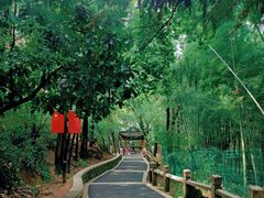 -灵岩山风景区