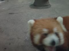-柳州市动物园