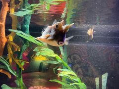 -沈阳海洋探索中心