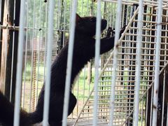 -黄海国家森林公园