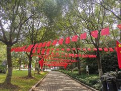 -上海海湾国家森林公园