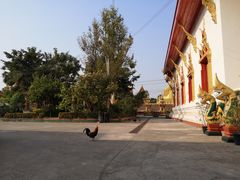 -塔銮寺