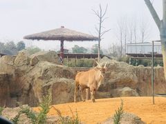 -杭州野生动物世界