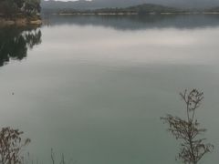 -广州市流溪河国家森林公园