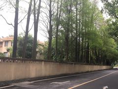 -罗三妹山